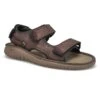 Clarks Men's Wesley Bay Sport Sandal - Brown